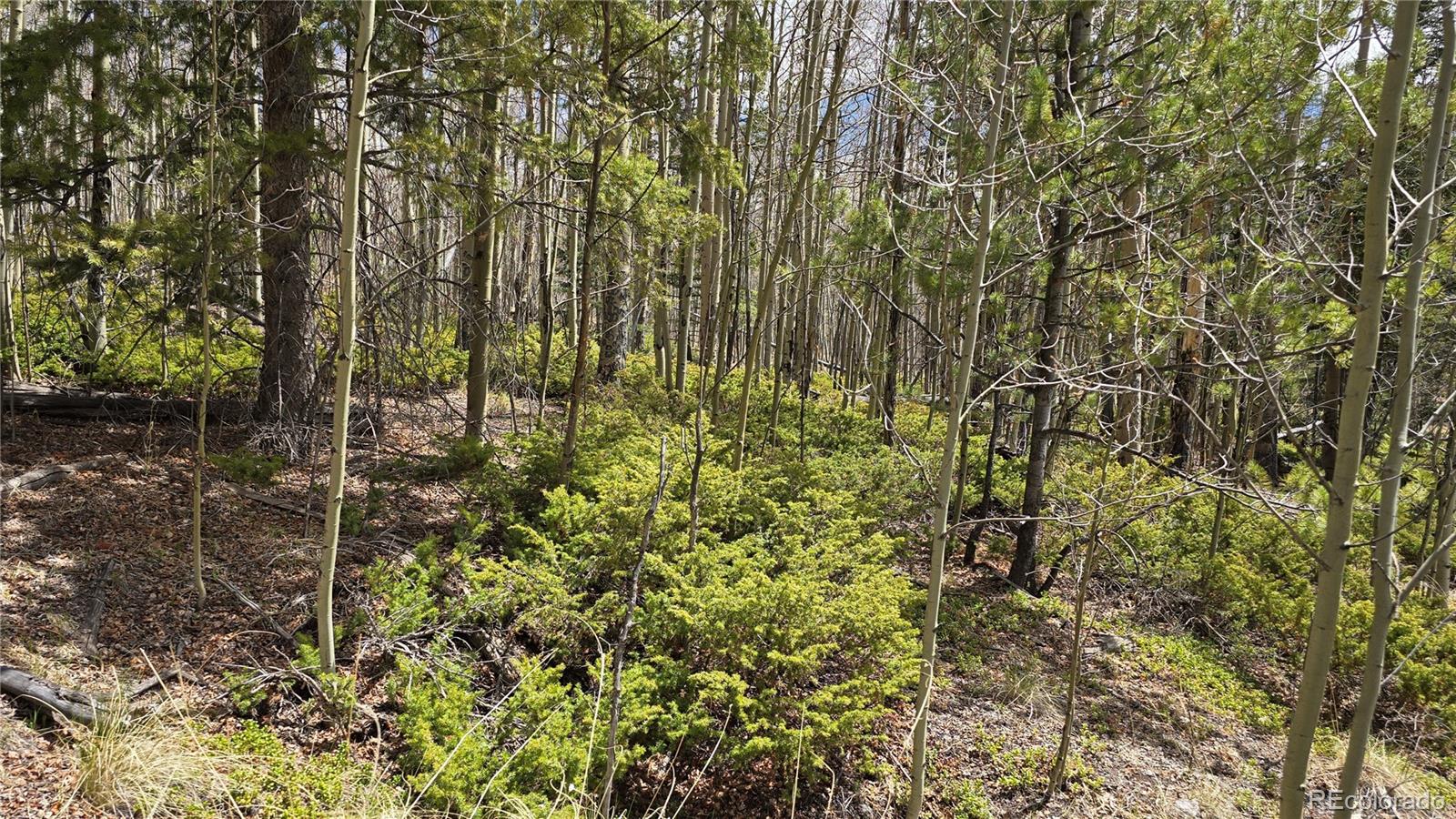 Lot 5853 Slegers Road Fort Garland CO 81133
