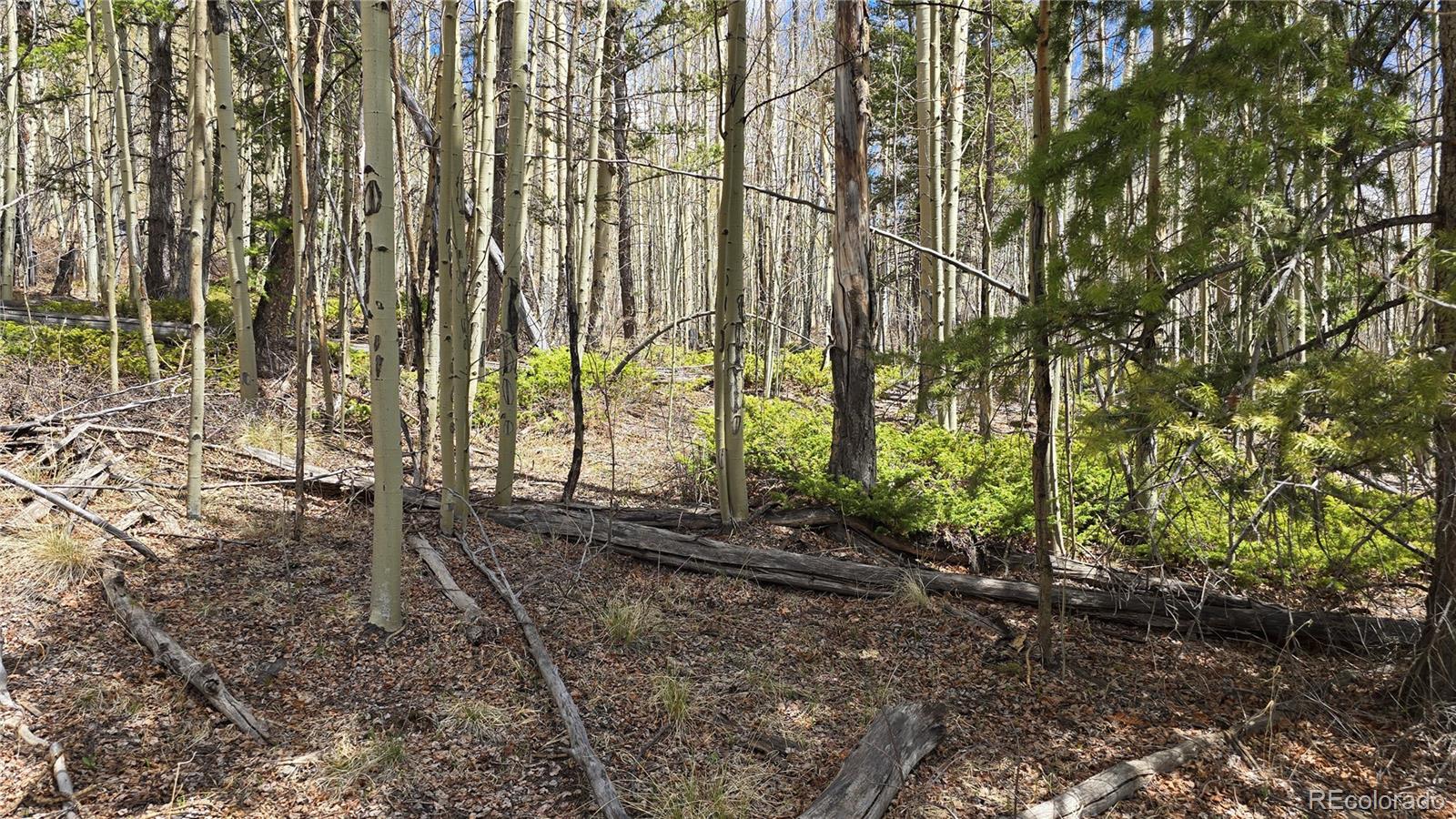 Lot 5853 Slegers Road Fort Garland CO 81133