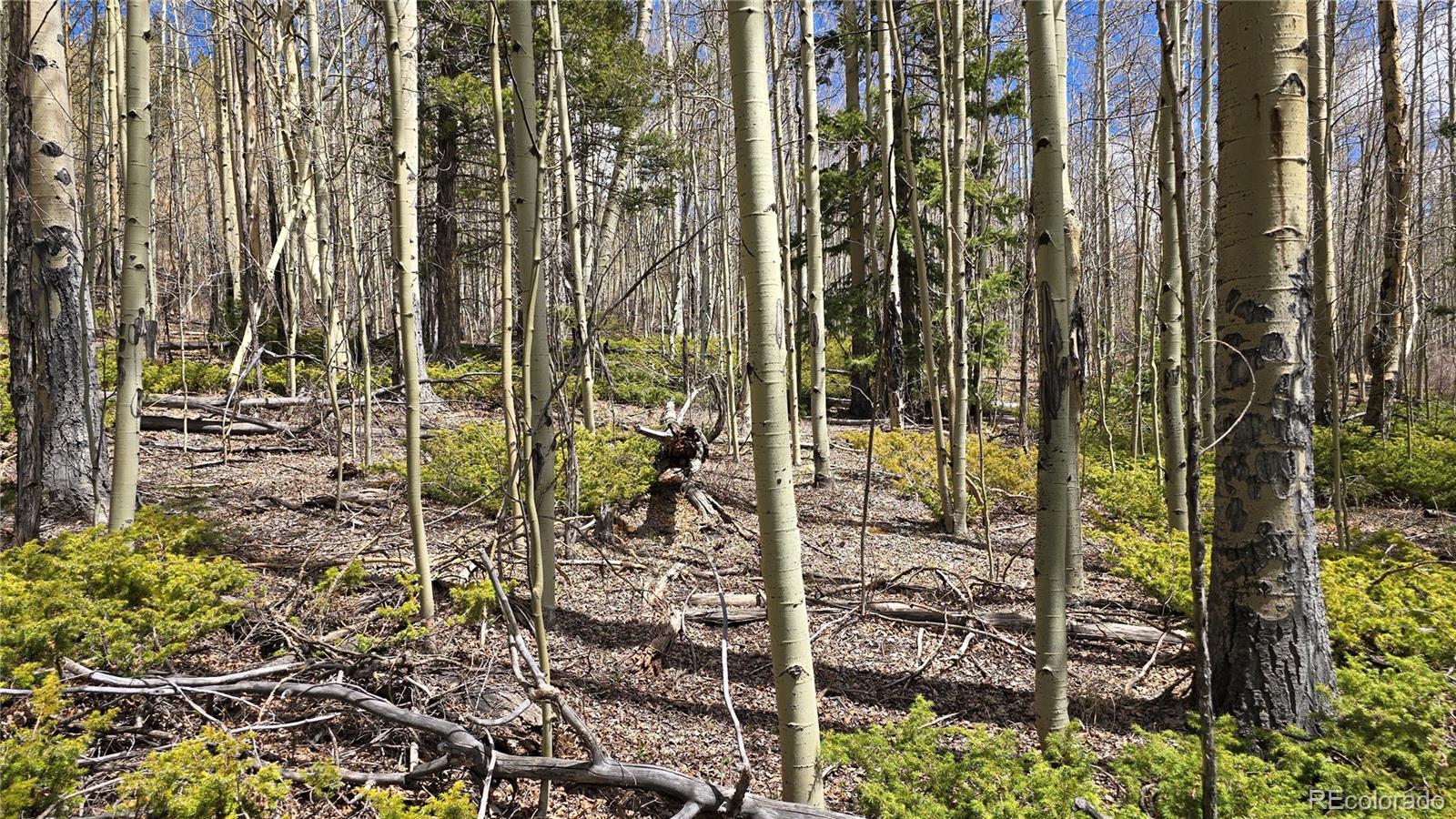 Lot 5853 Slegers Road Fort Garland CO 81133