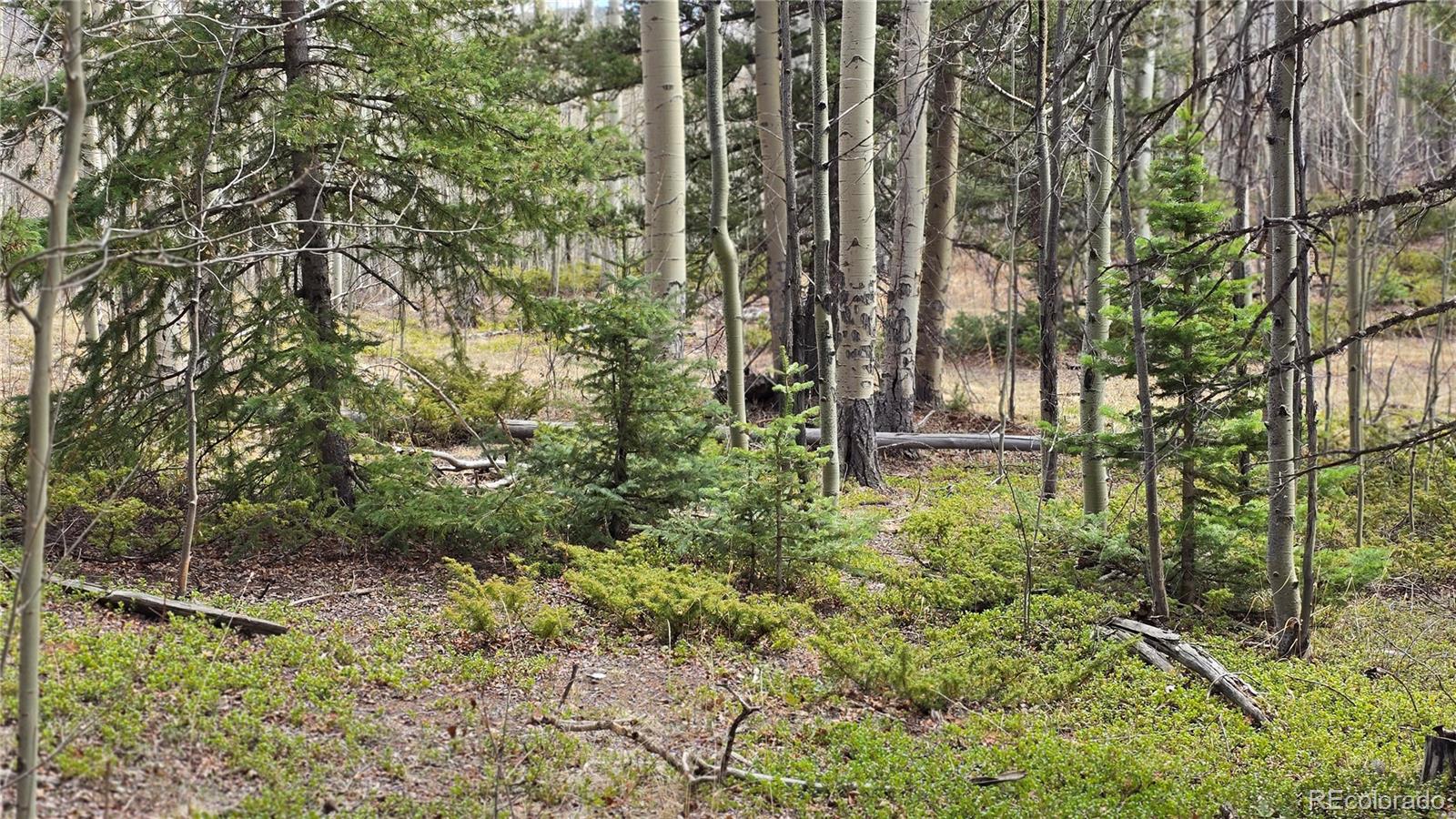 Lot 5853 Slegers Road Fort Garland CO 81133