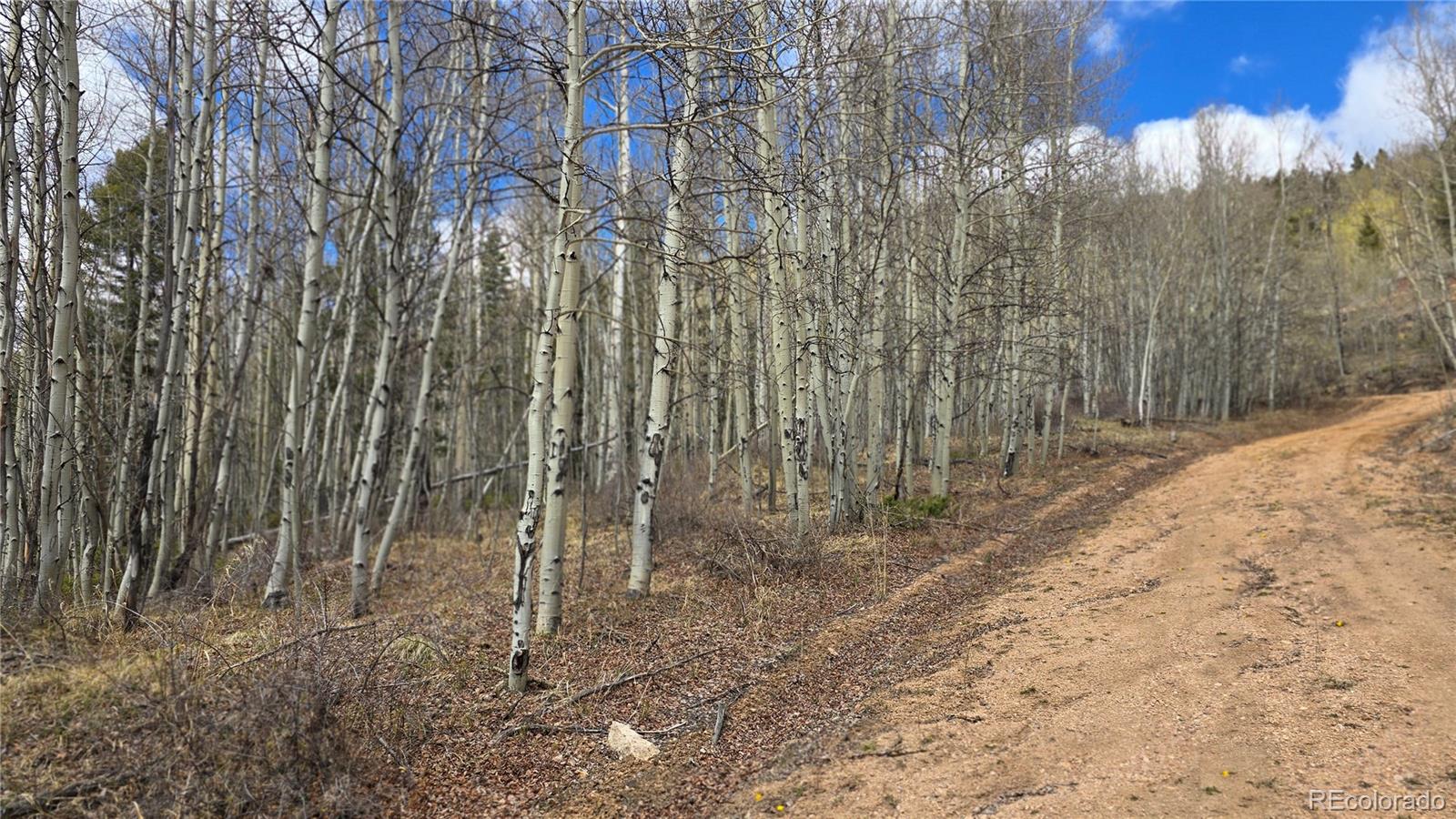Lot 5853 Slegers Road Fort Garland CO 81133