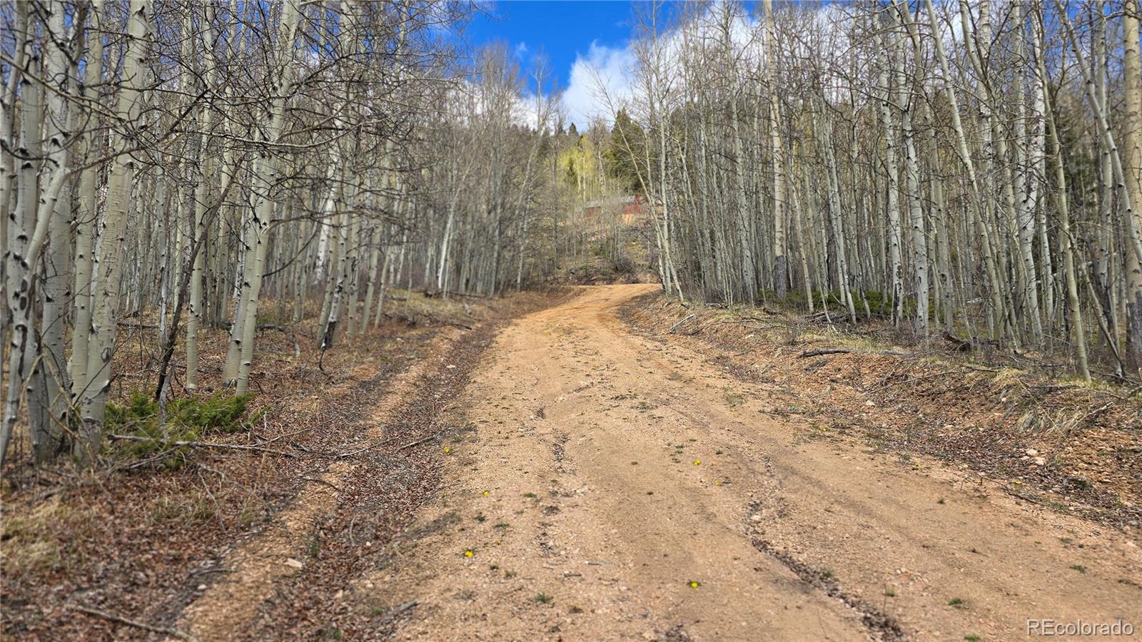 Lot 5853 Slegers Road Fort Garland CO 81133