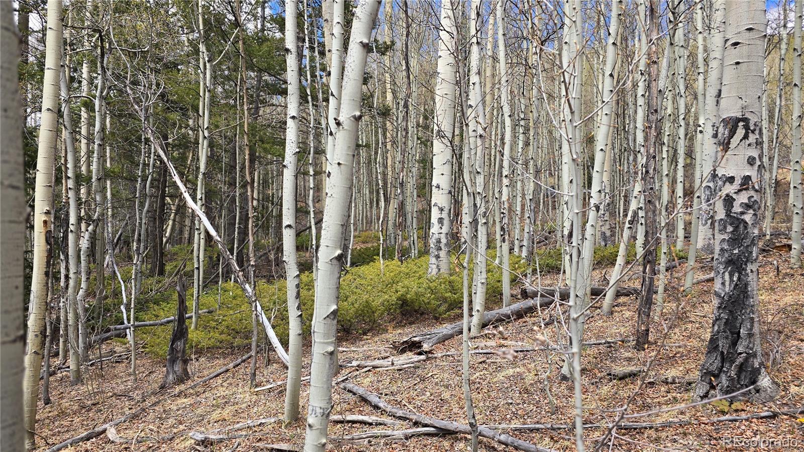 Lot 5853 Slegers Road Fort Garland CO 81133