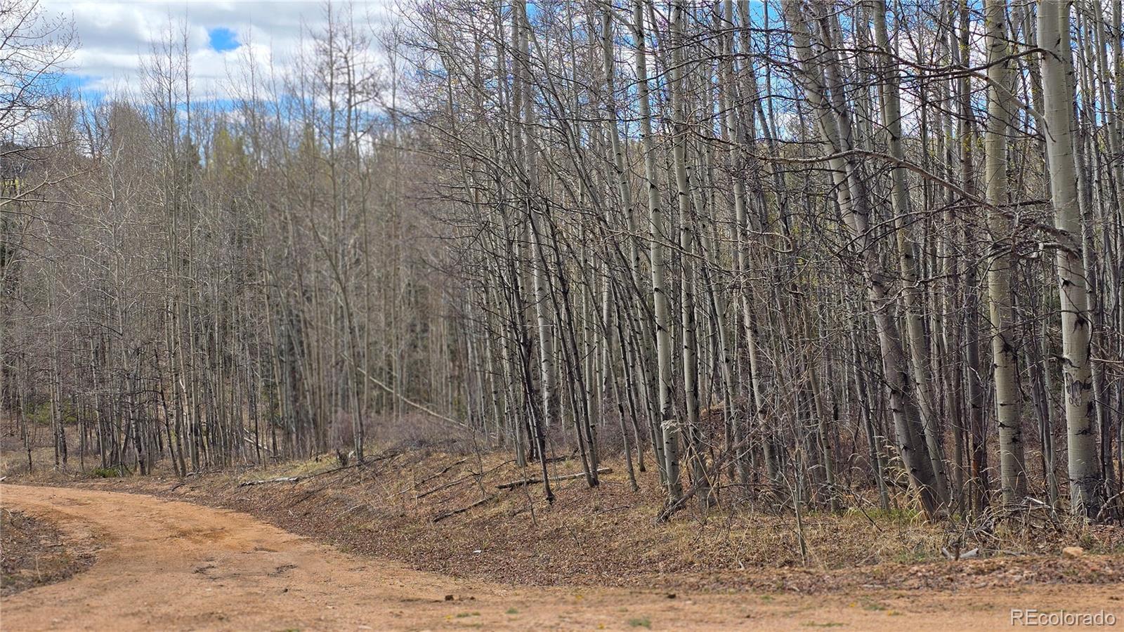 Lot 5853 Slegers Road Fort Garland CO 81133