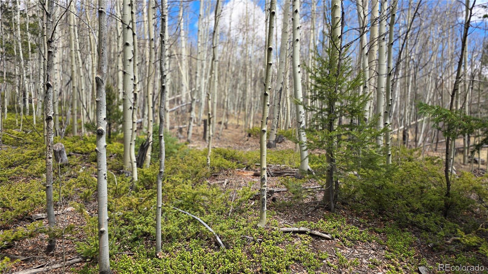 Lot 5853 Slegers Road Fort Garland CO 81133