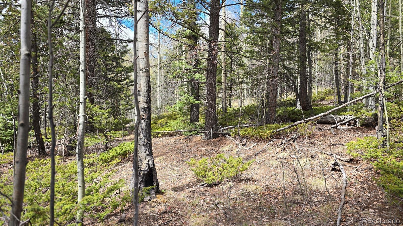 Lot 5853 Slegers Road Fort Garland CO 81133