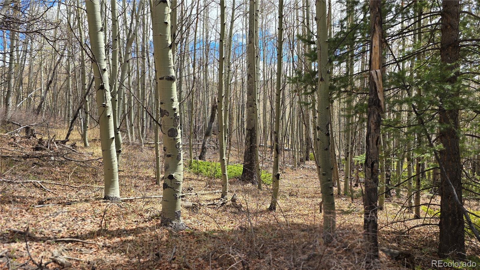Lot 5853 Slegers Road Fort Garland CO 81133