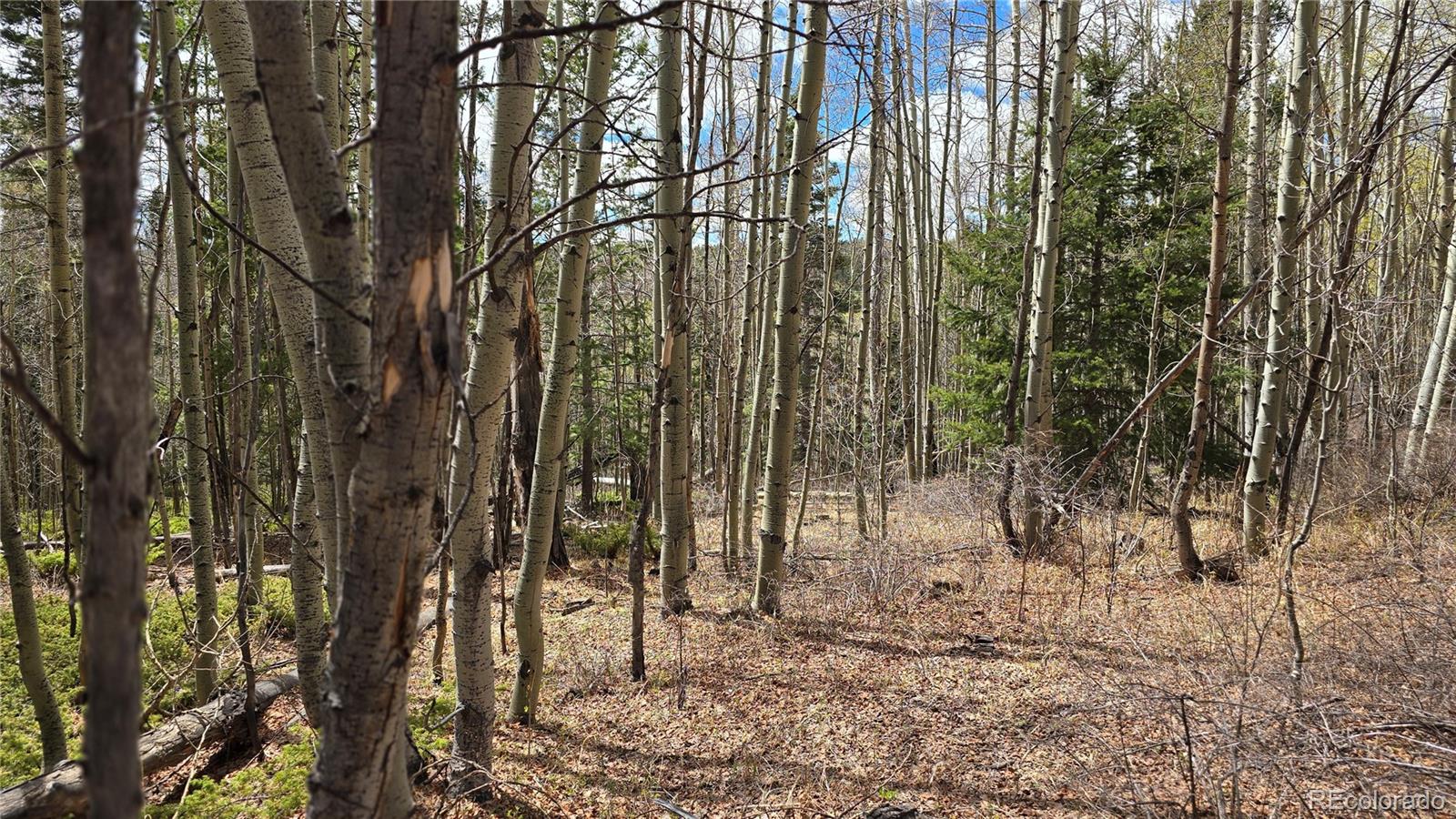 Lot 5853 Slegers Road Fort Garland CO 81133