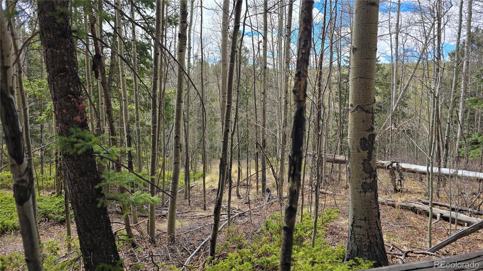Lot 5853 Slegers Road Fort Garland CO 81133