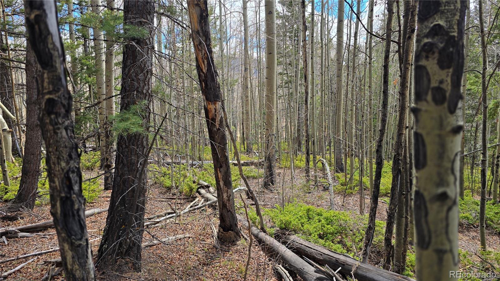 Lot 5853 Slegers Road Fort Garland CO 81133