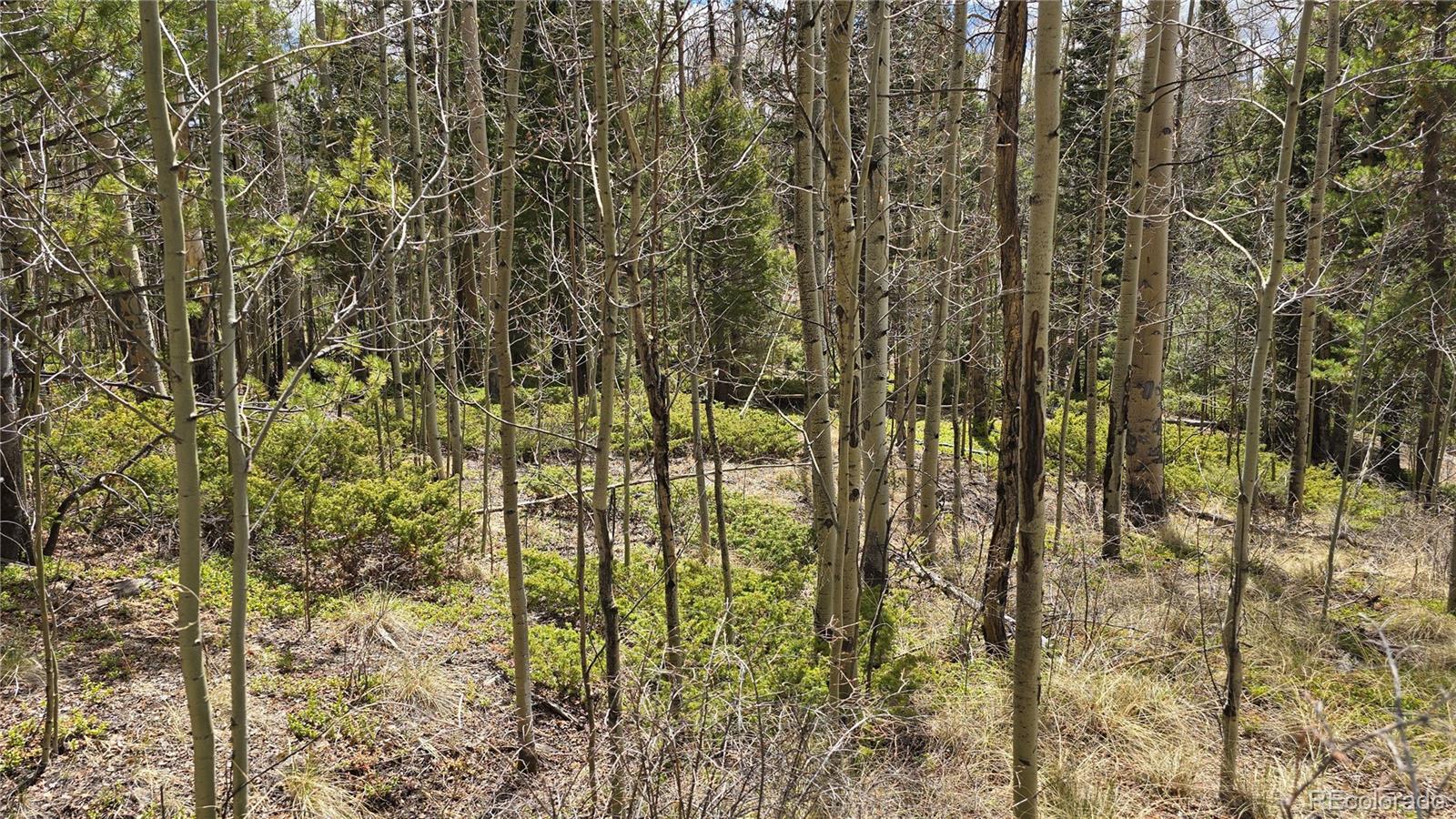 Lot 5853 Slegers Road Fort Garland CO 81133