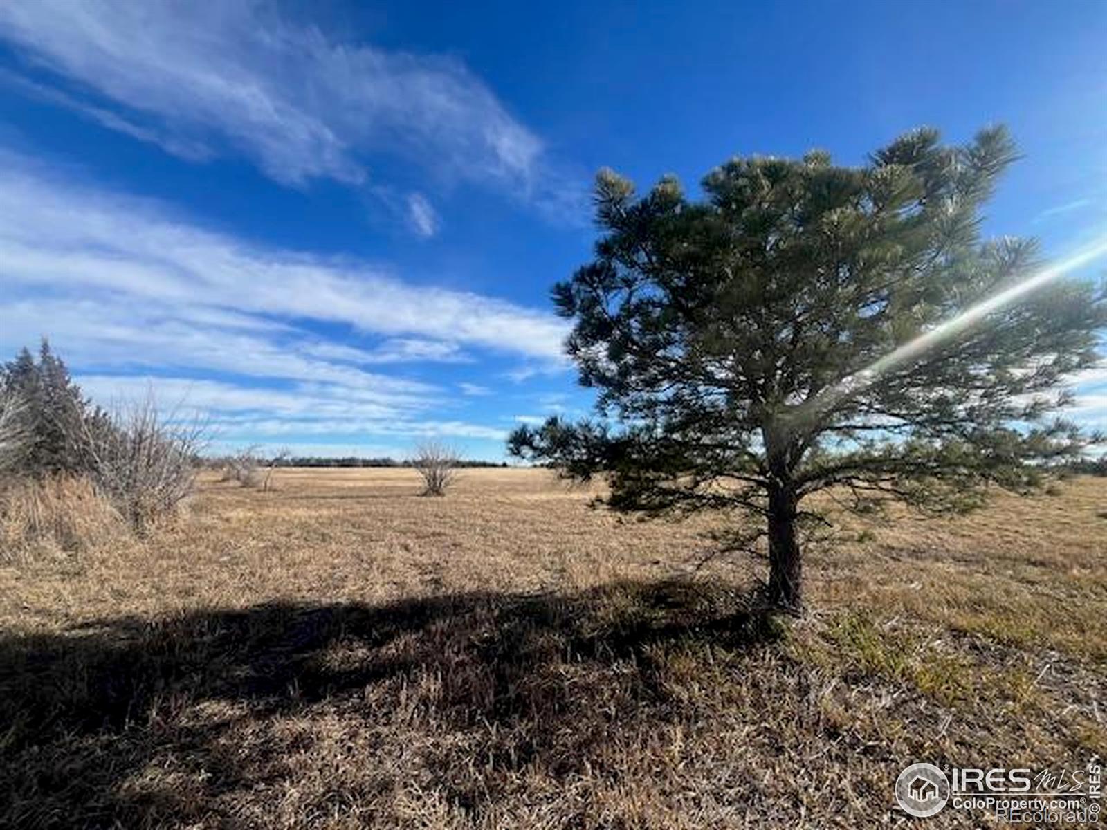 4952 County Road H Wiggins CO 80654