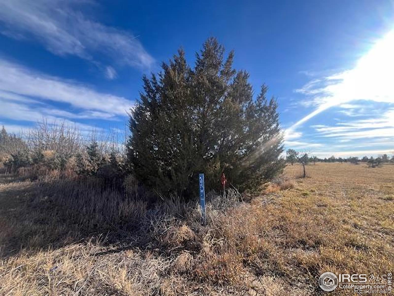 4952 County Road H Wiggins CO 80654