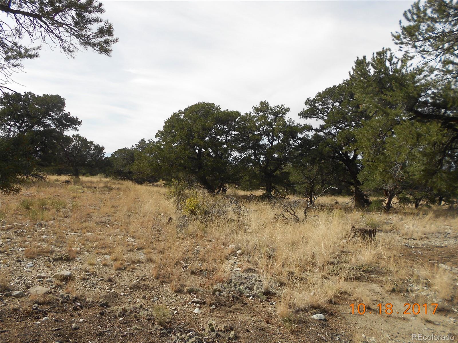 Mill Run Road Mosca CO 81146