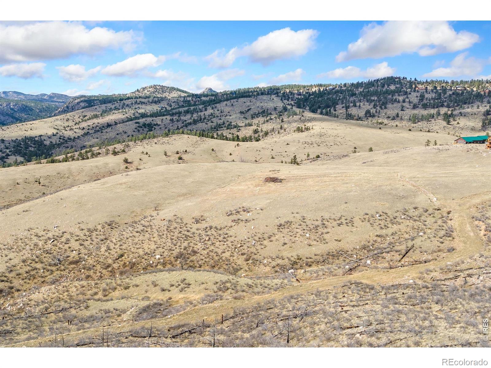 170 Little Bald Mountain Court Livermore CO 80536