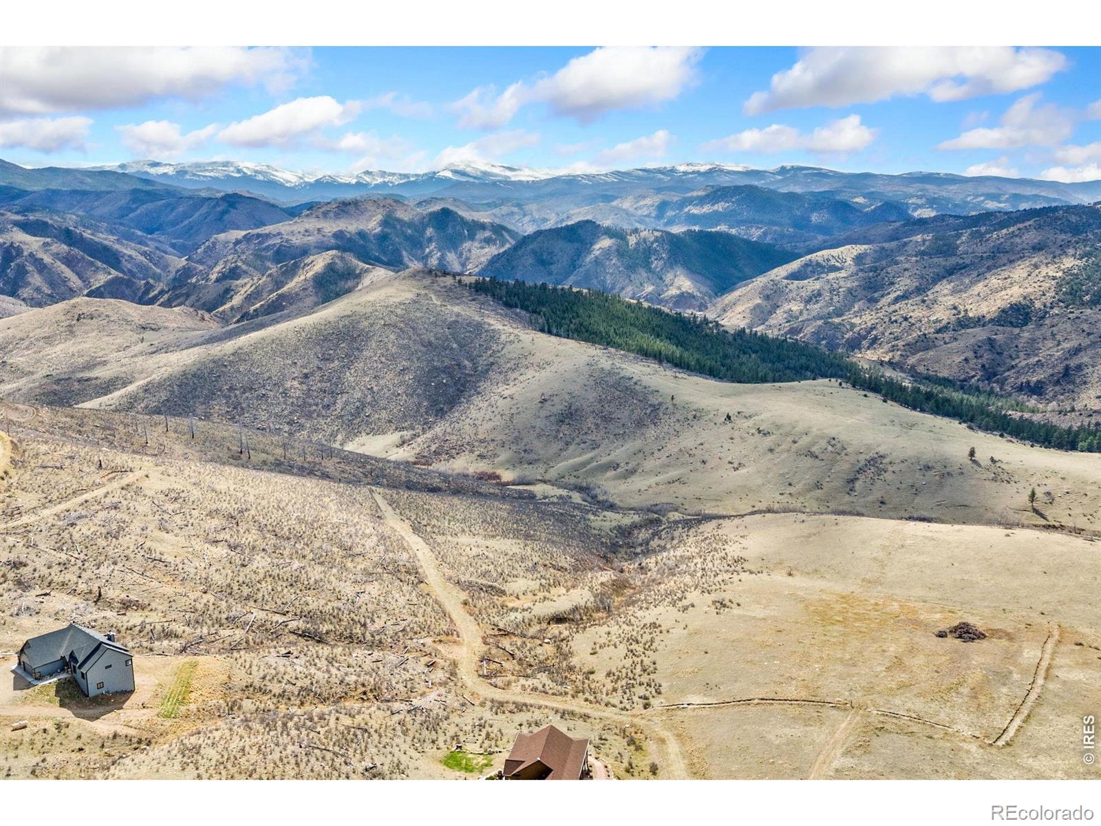 170 Little Bald Mountain Court Livermore CO 80536