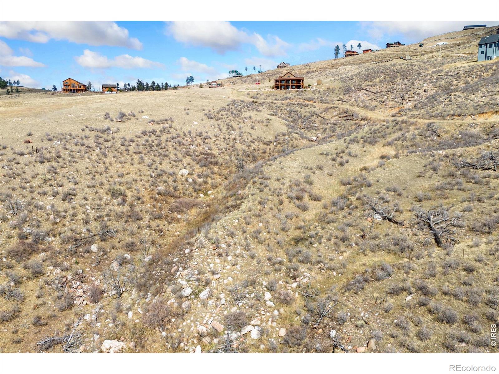 170 Little Bald Mountain Court Livermore CO 80536