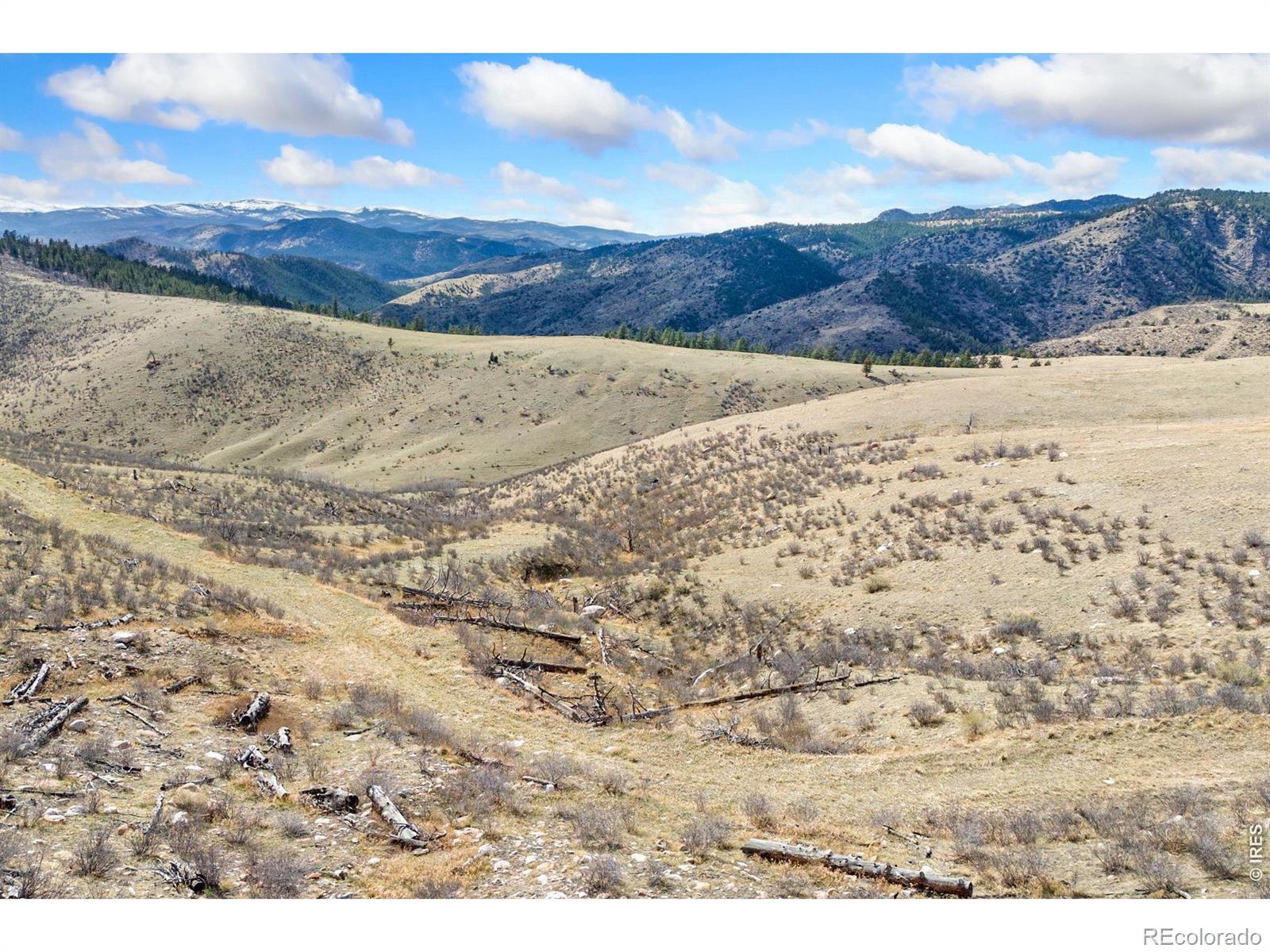 170 Little Bald Mountain Court Livermore CO 80536