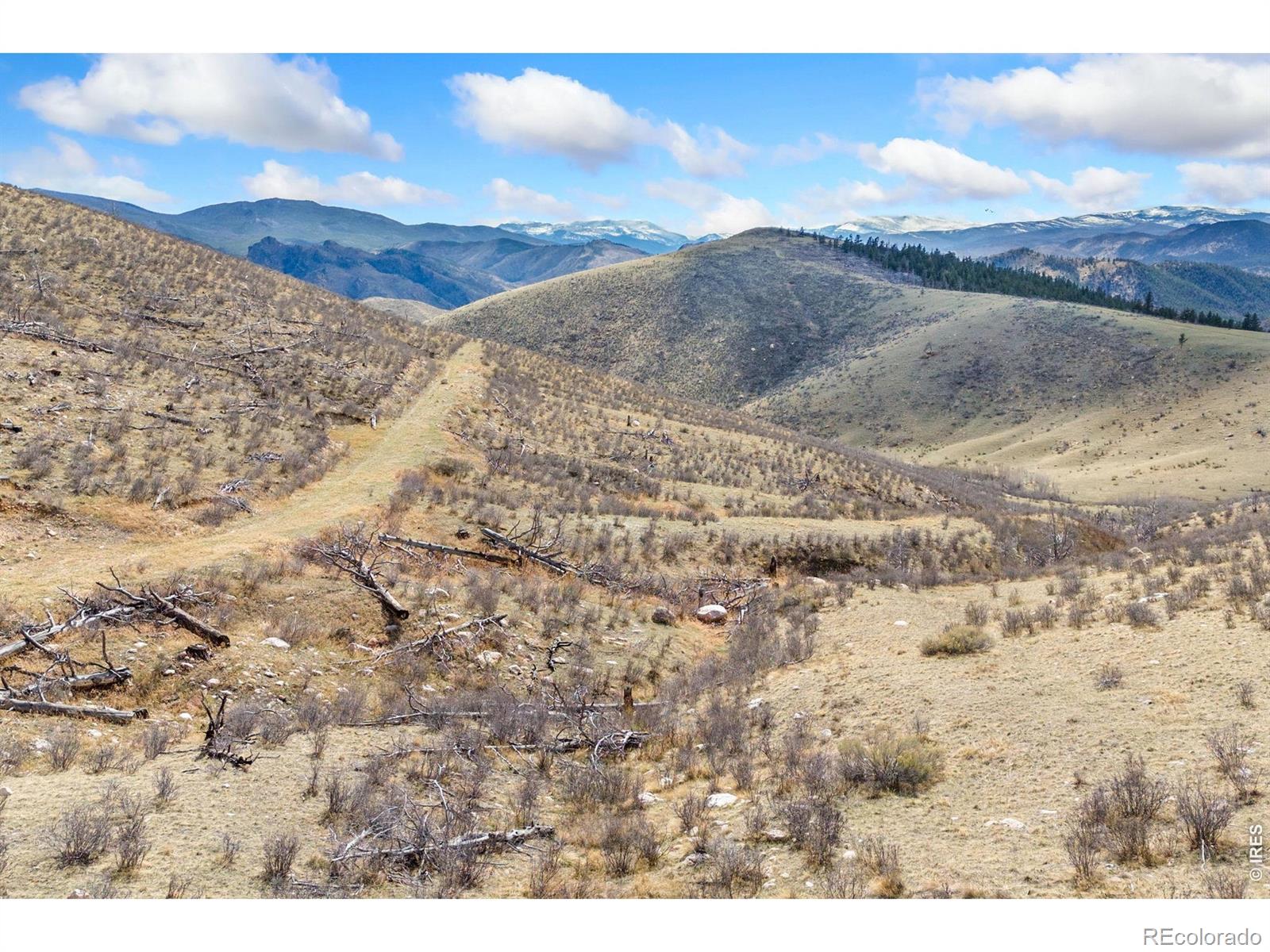 170 Little Bald Mountain Court Livermore CO 80536