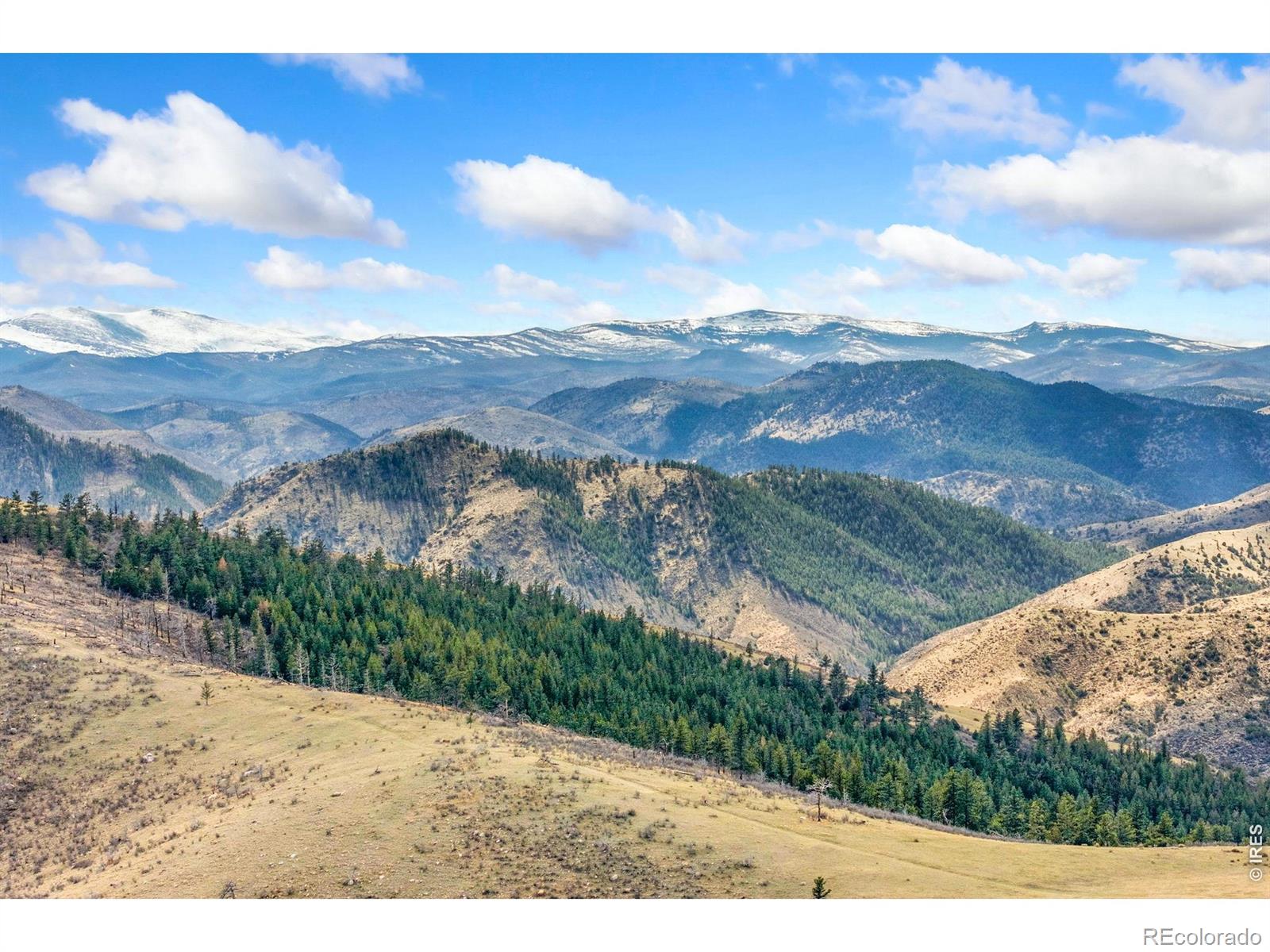 170 Little Bald Mountain Court Livermore CO 80536