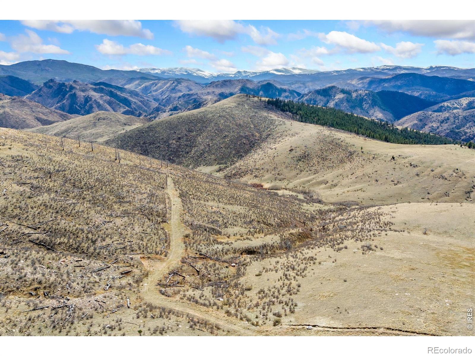 170 Little Bald Mountain Court Livermore CO 80536