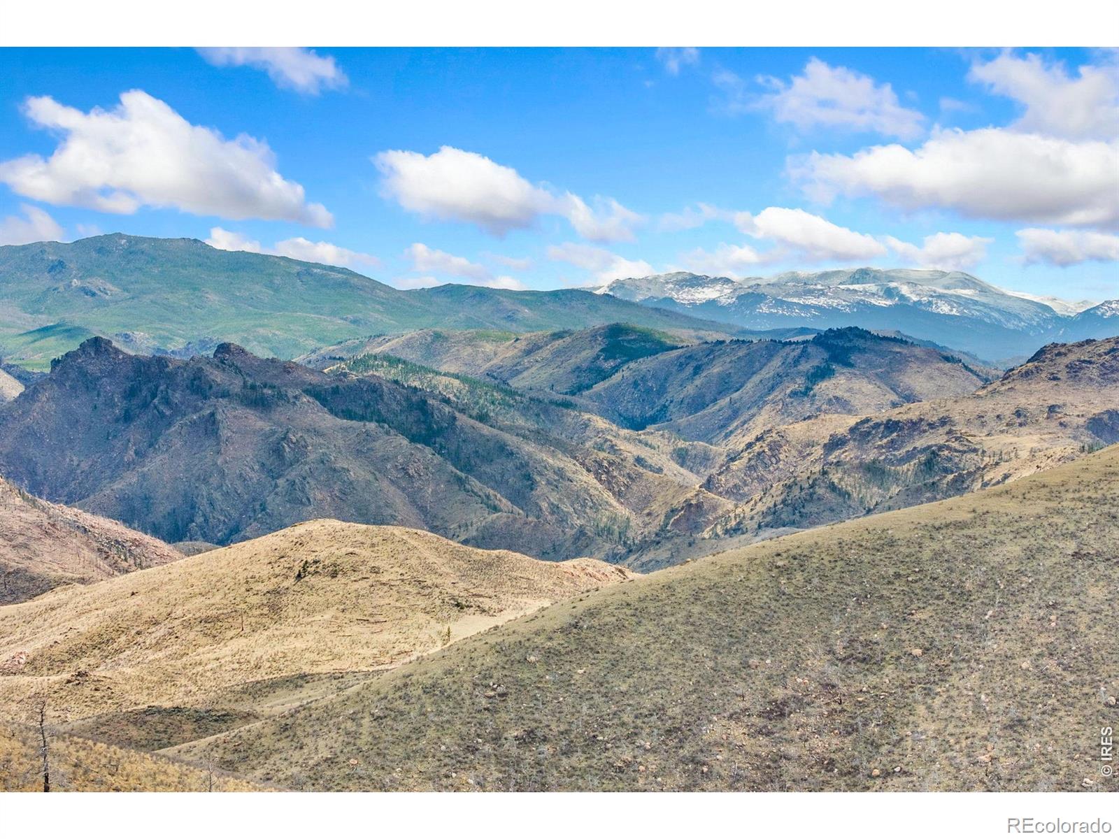 170 Little Bald Mountain Court Livermore CO 80536