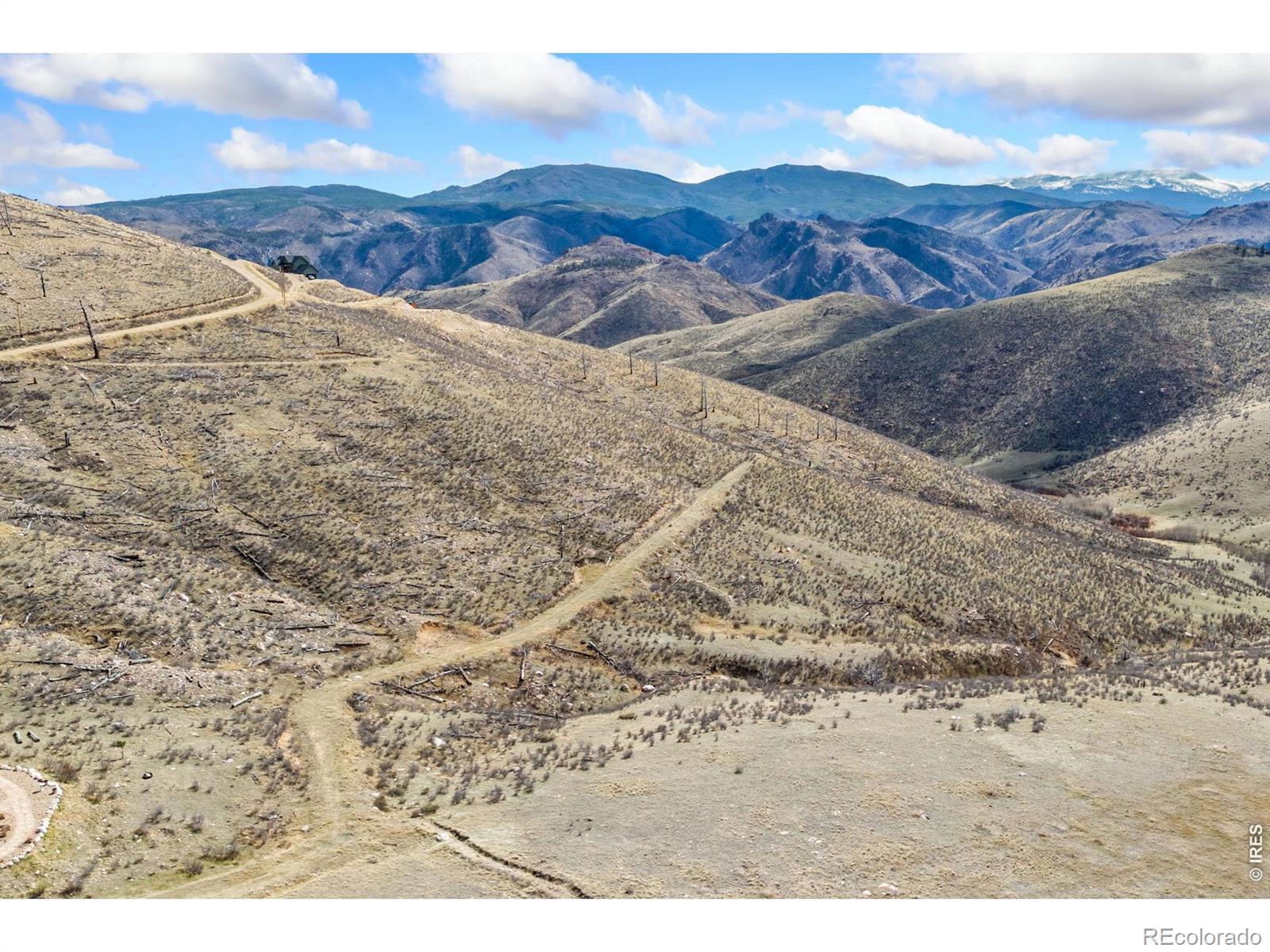 170 Little Bald Mountain Court Livermore CO 80536