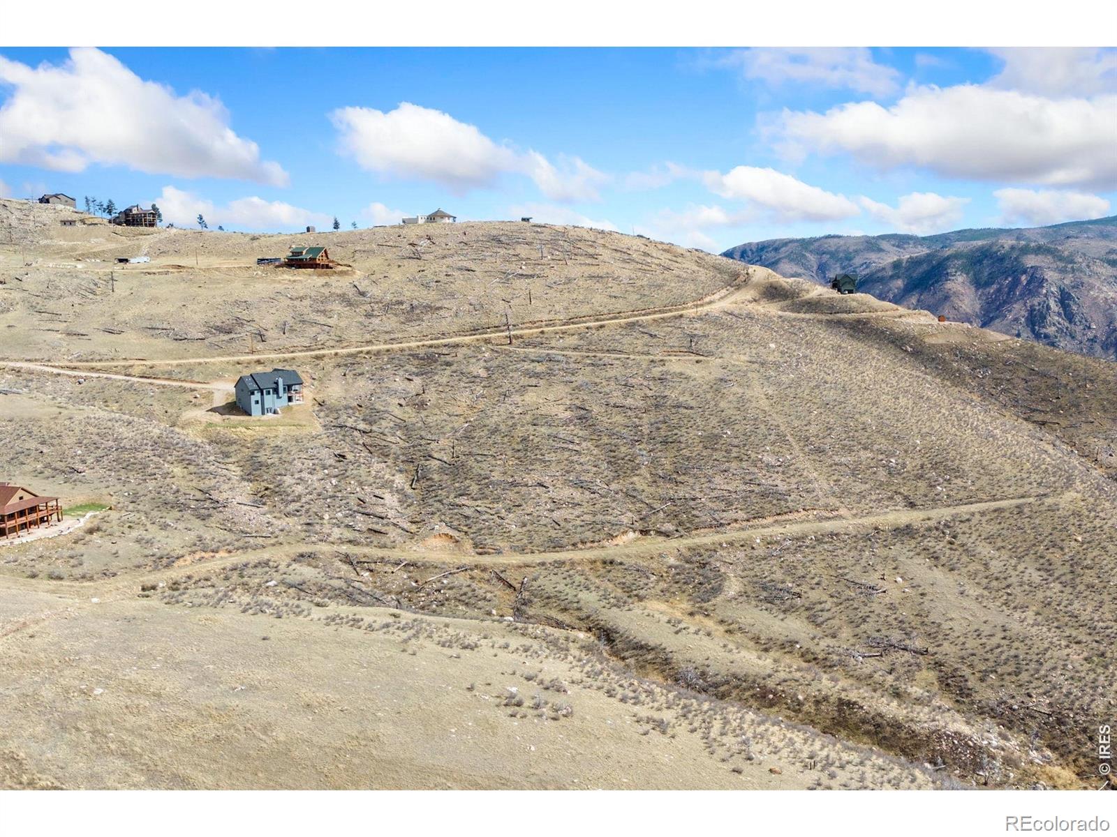 170 Little Bald Mountain Court Livermore CO 80536