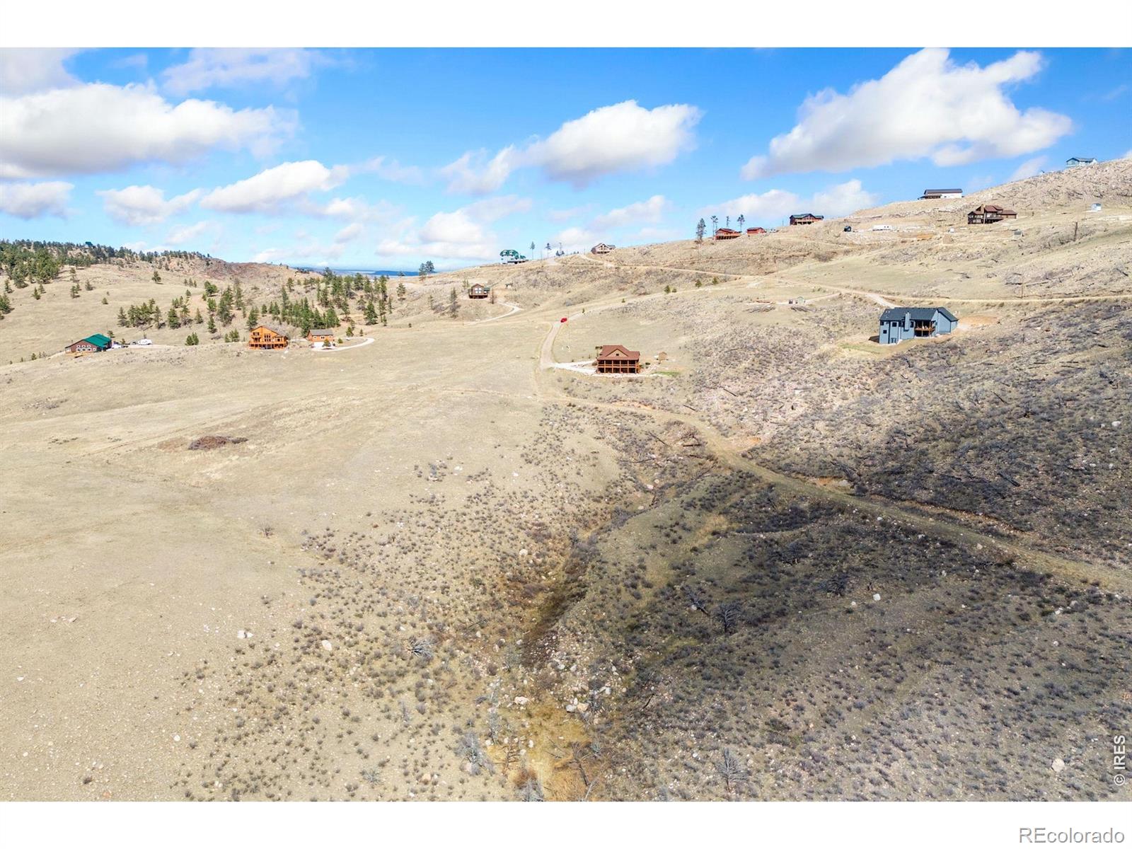 170 Little Bald Mountain Court Livermore CO 80536