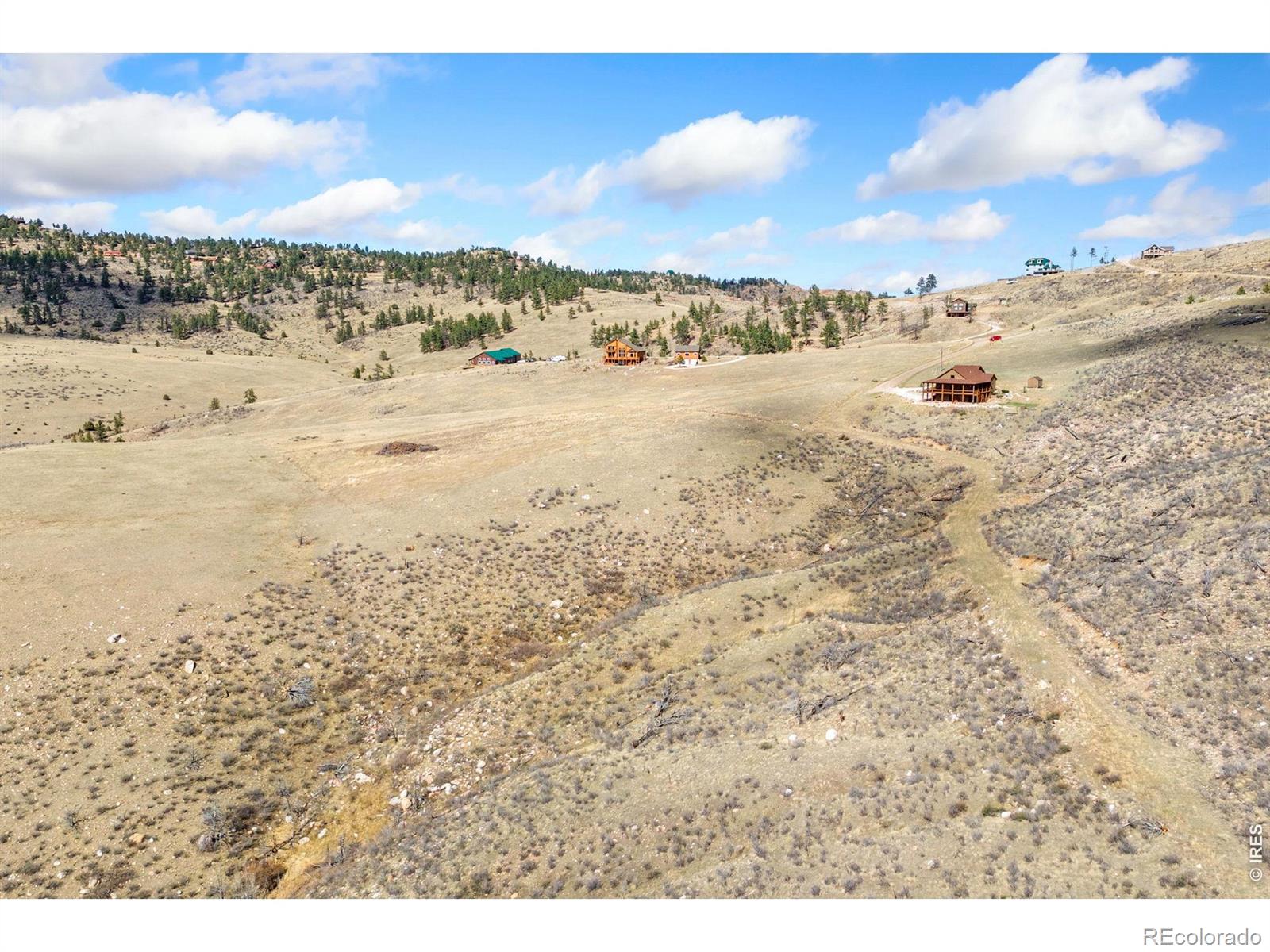170 Little Bald Mountain Court Livermore CO 80536