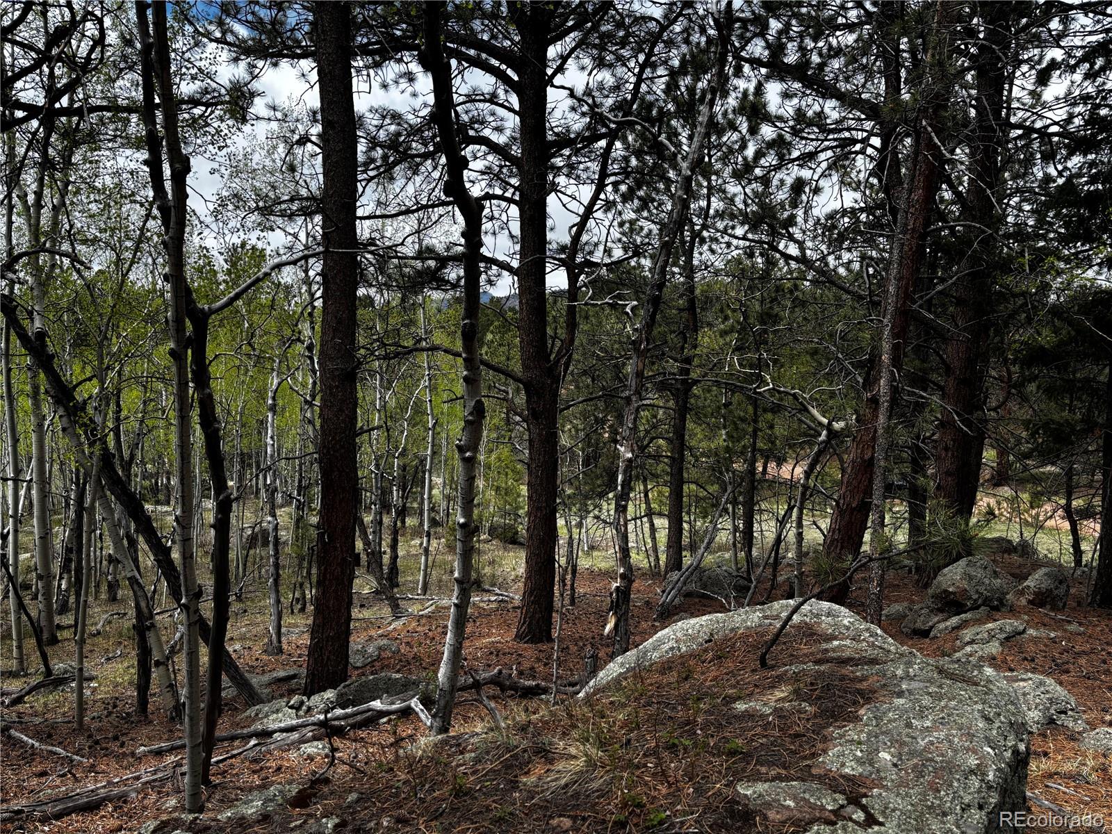 210 Crescent Drive Florissant CO 80816
