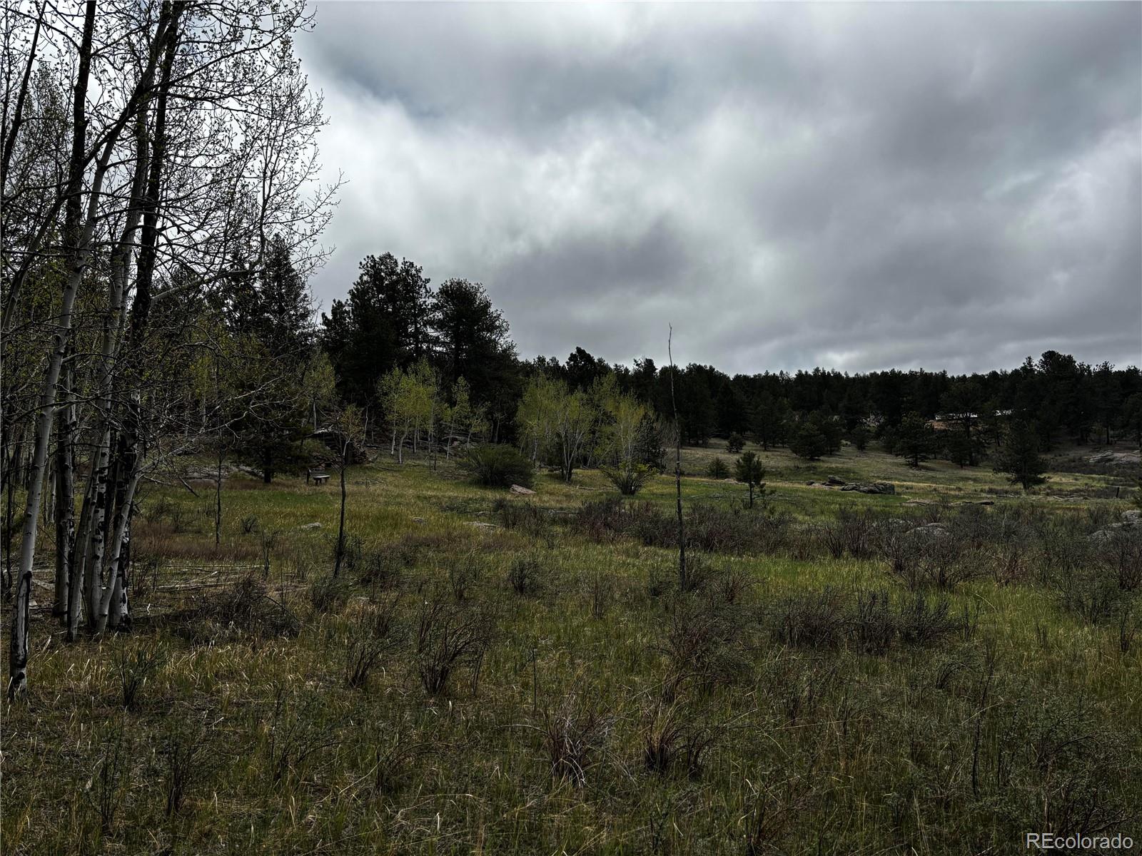 210 Crescent Drive Florissant CO 80816