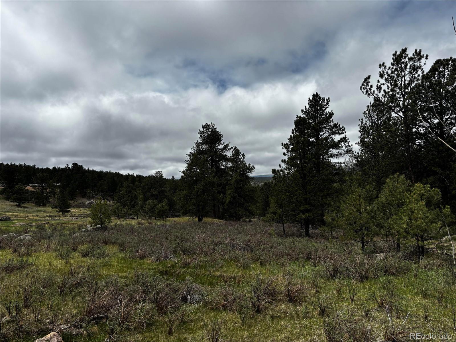 210 Crescent Drive Florissant CO 80816