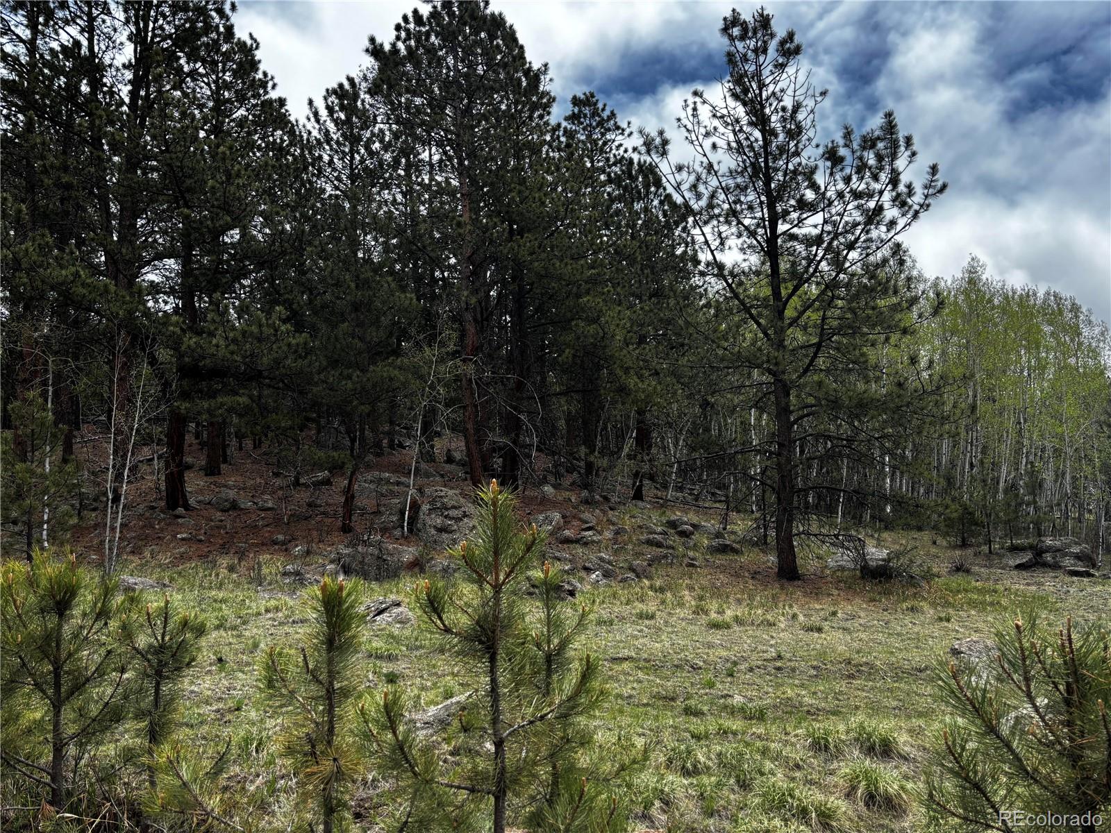 210 Crescent Drive Florissant CO 80816