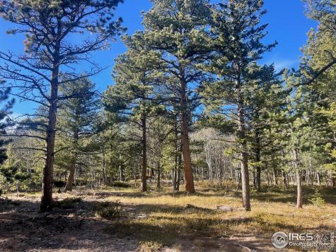 399 N Skinner Road Allenspark CO 80510