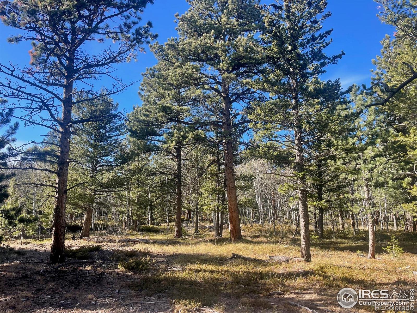 399 N Skinner Road Allenspark CO 80510