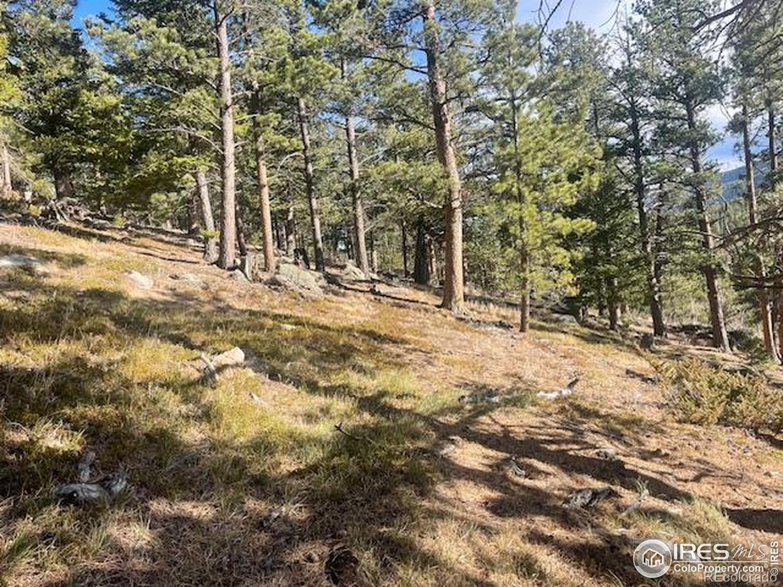 399 N Skinner Road Allenspark CO 80510