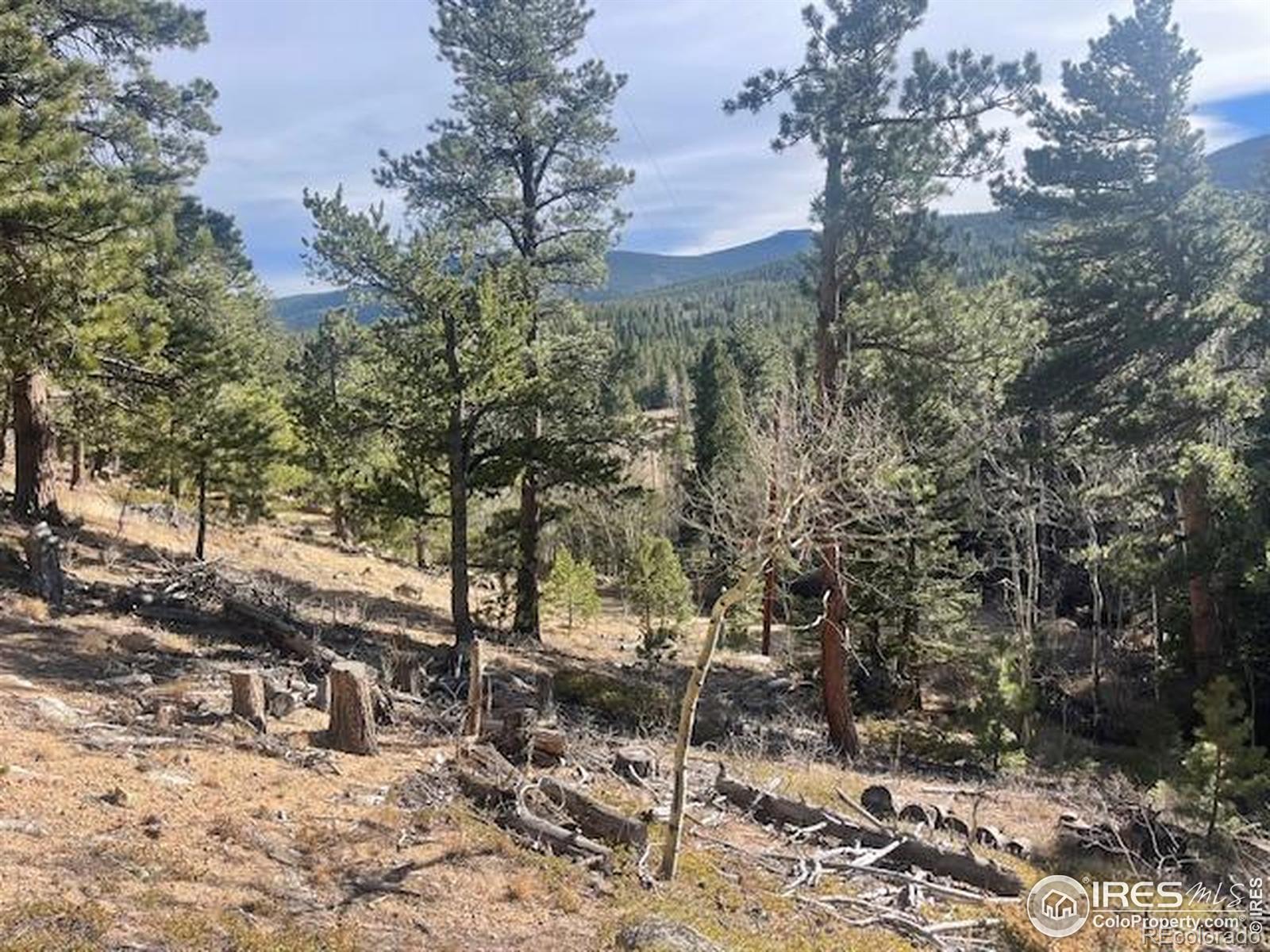 399 N Skinner Road Allenspark CO 80510