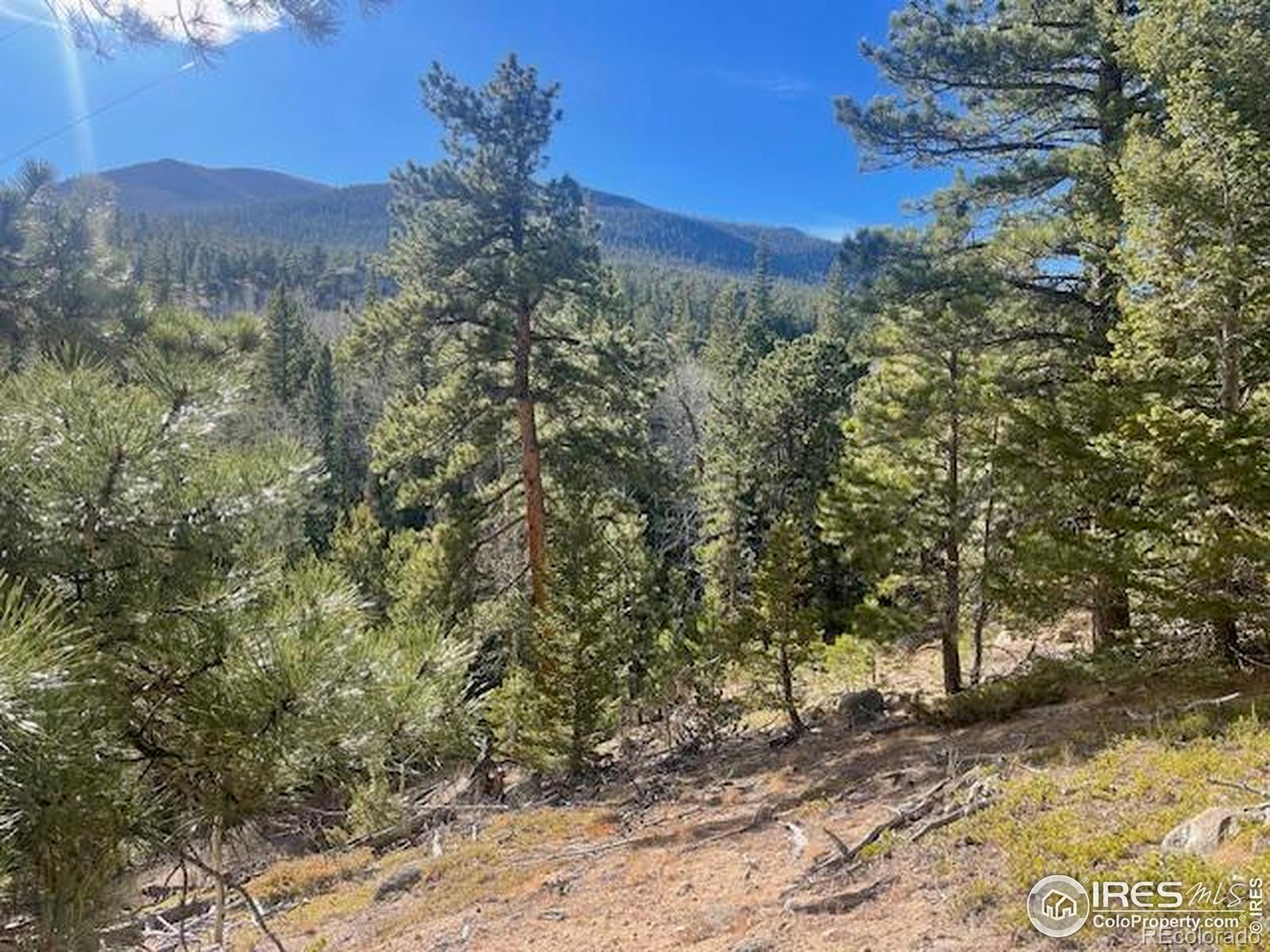 399 N Skinner Road Allenspark CO 80510