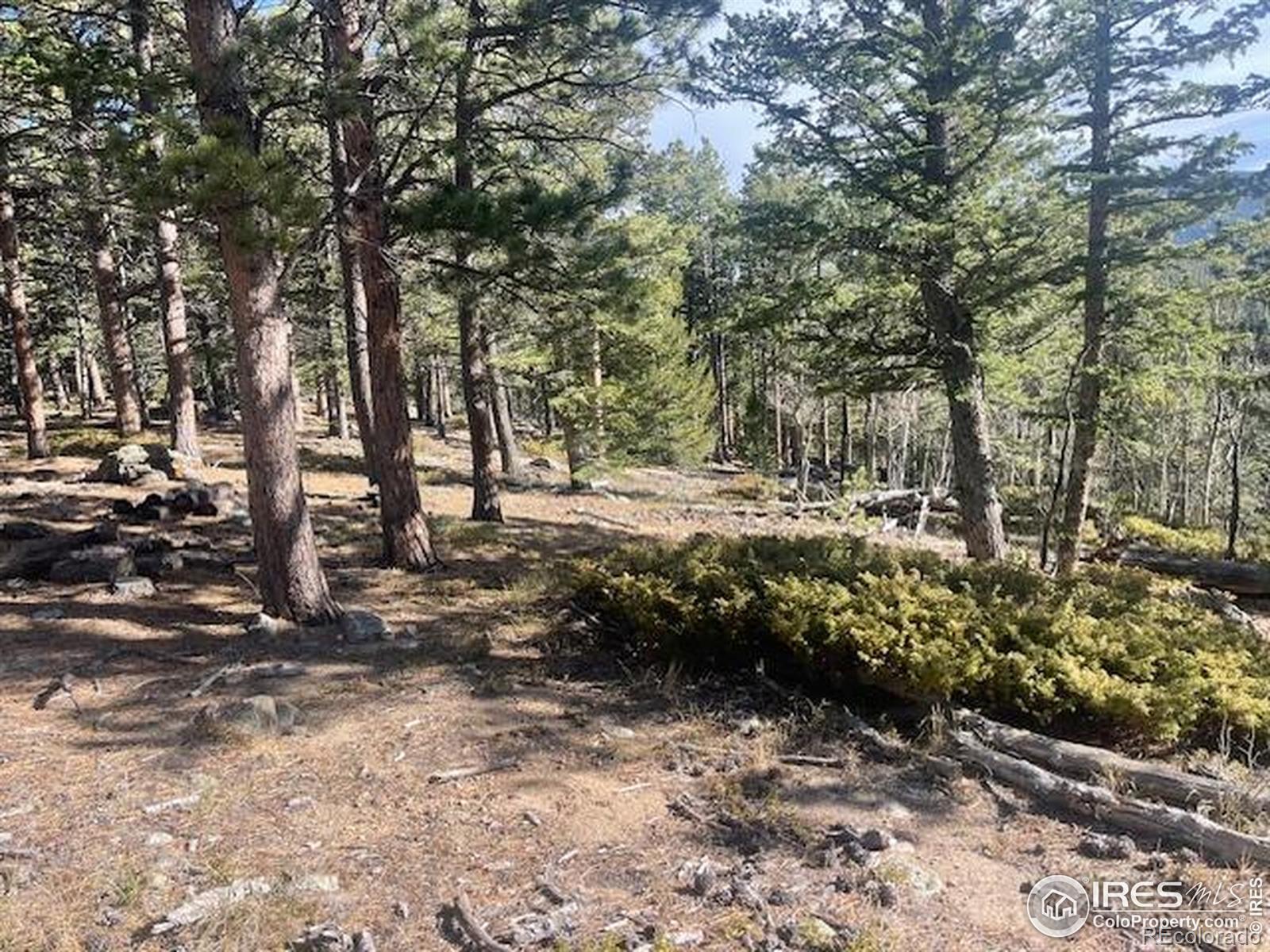 399 N Skinner Road Allenspark CO 80510