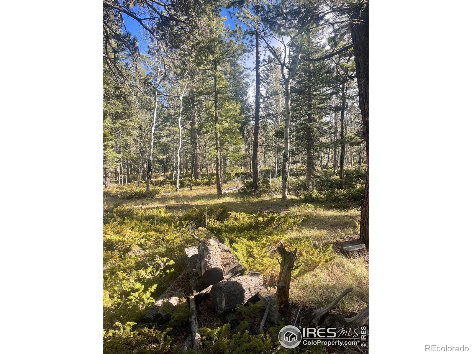 399 N Skinner Road Allenspark CO 80510