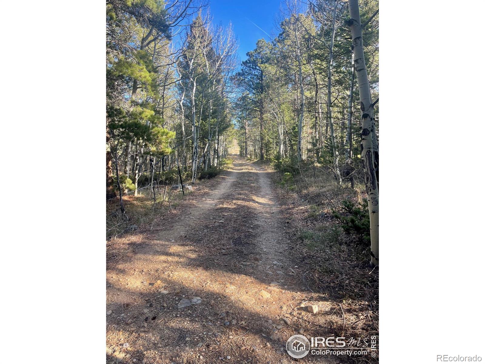 399 N Skinner Road Allenspark CO 80510