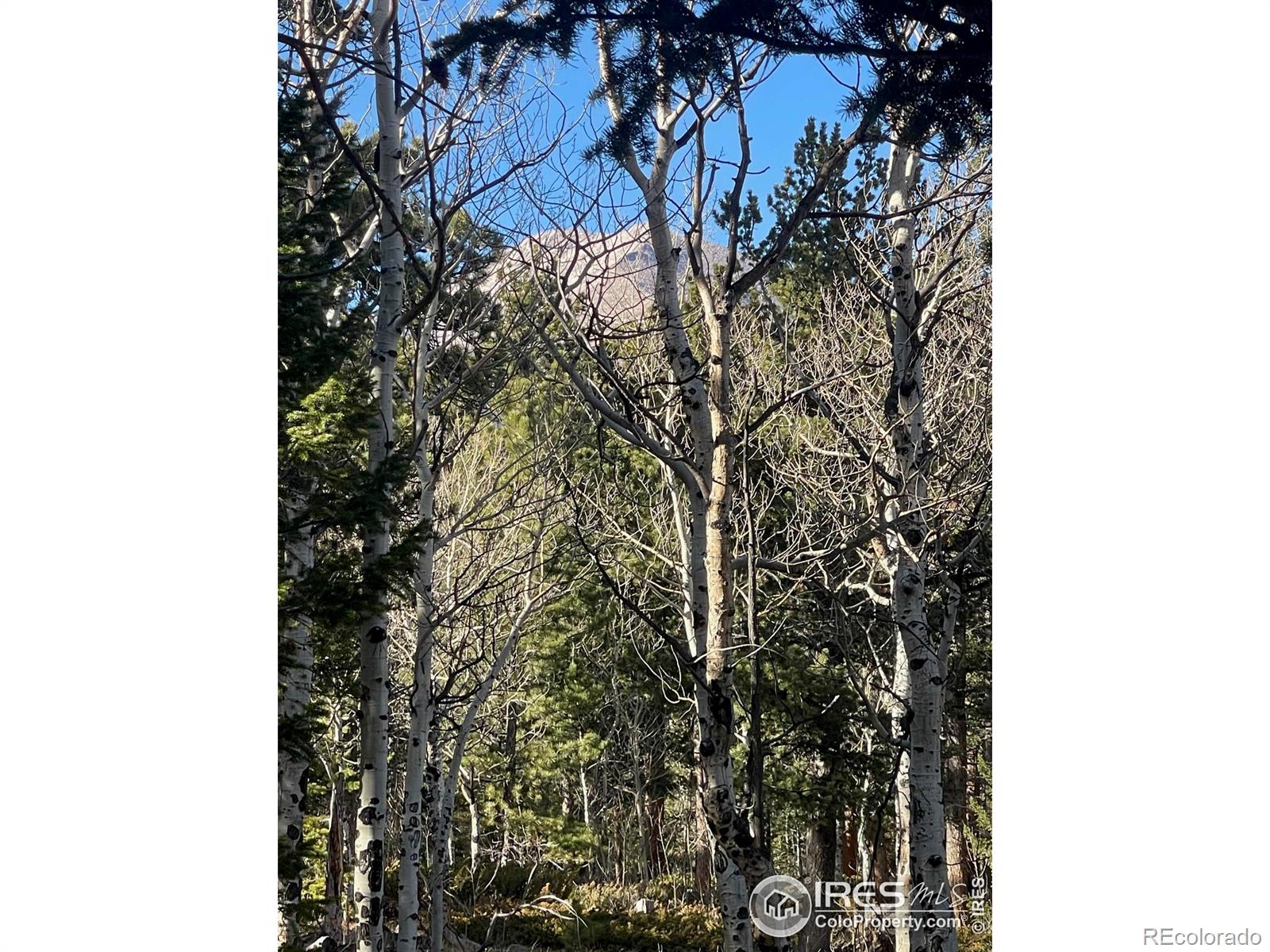 399 N Skinner Road Allenspark CO 80510