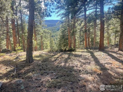399 N Skinner Road Allenspark CO 80510