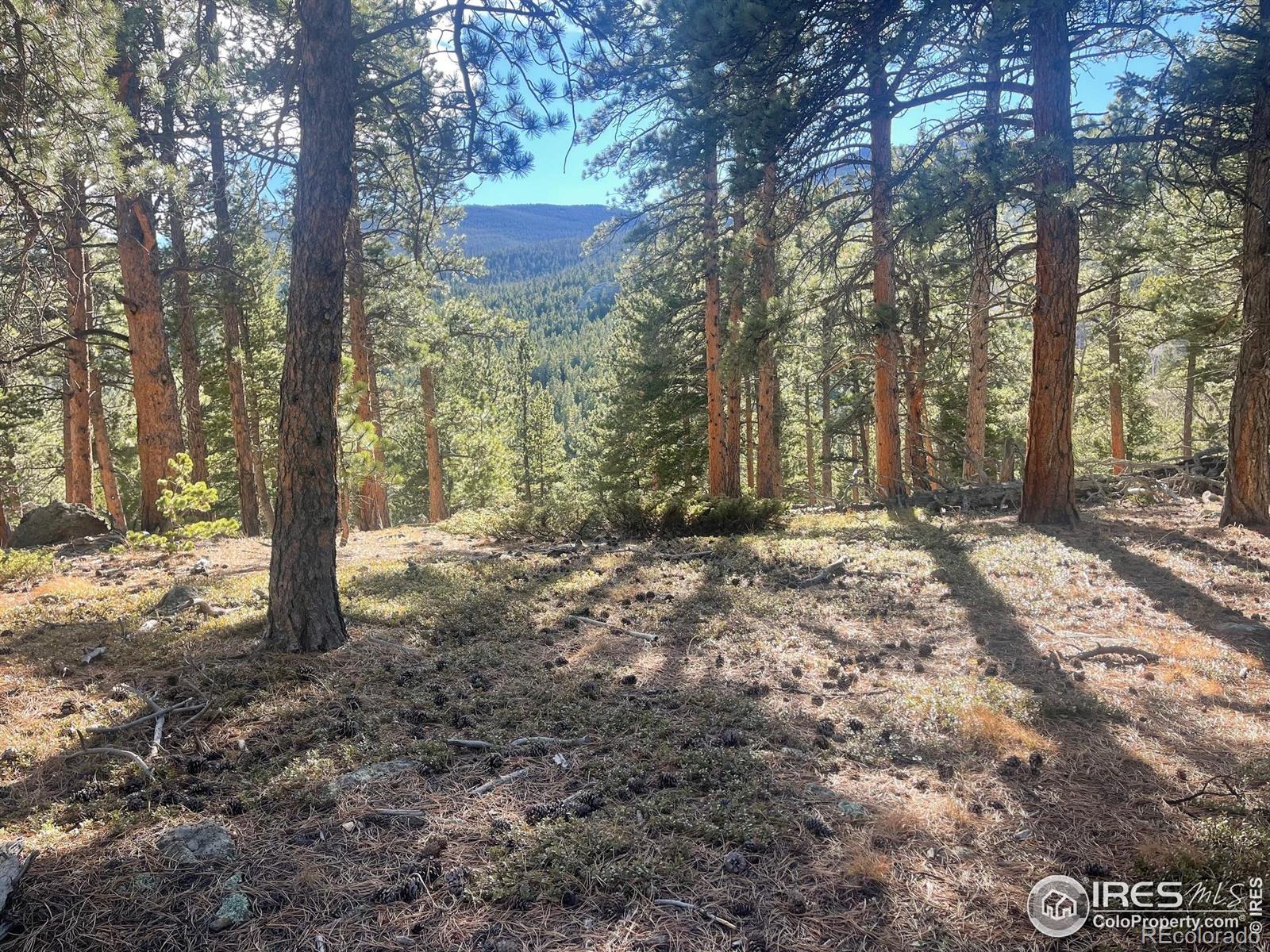 399 N Skinner Road Allenspark CO 80510