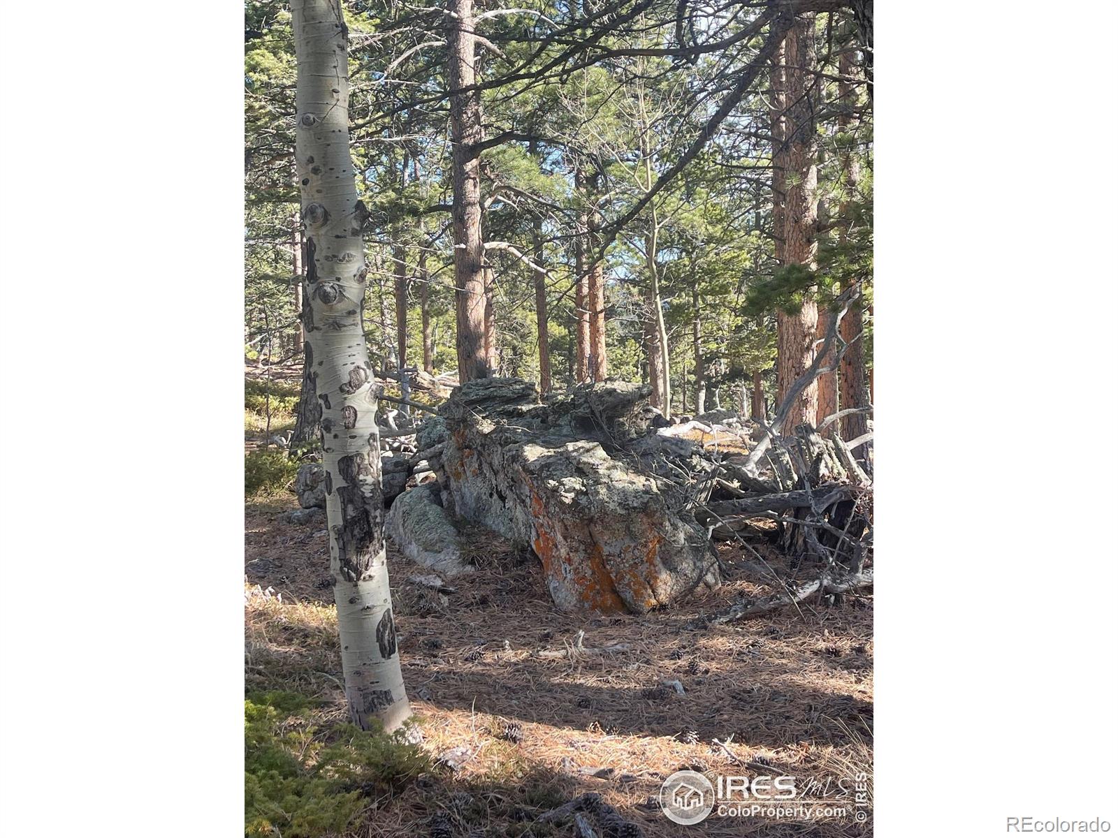 399 N Skinner Road Allenspark CO 80510