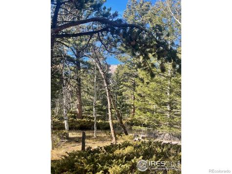 399 N Skinner Road Allenspark CO 80510
