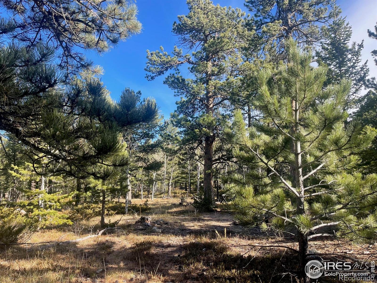 399 N Skinner Road Allenspark CO 80510