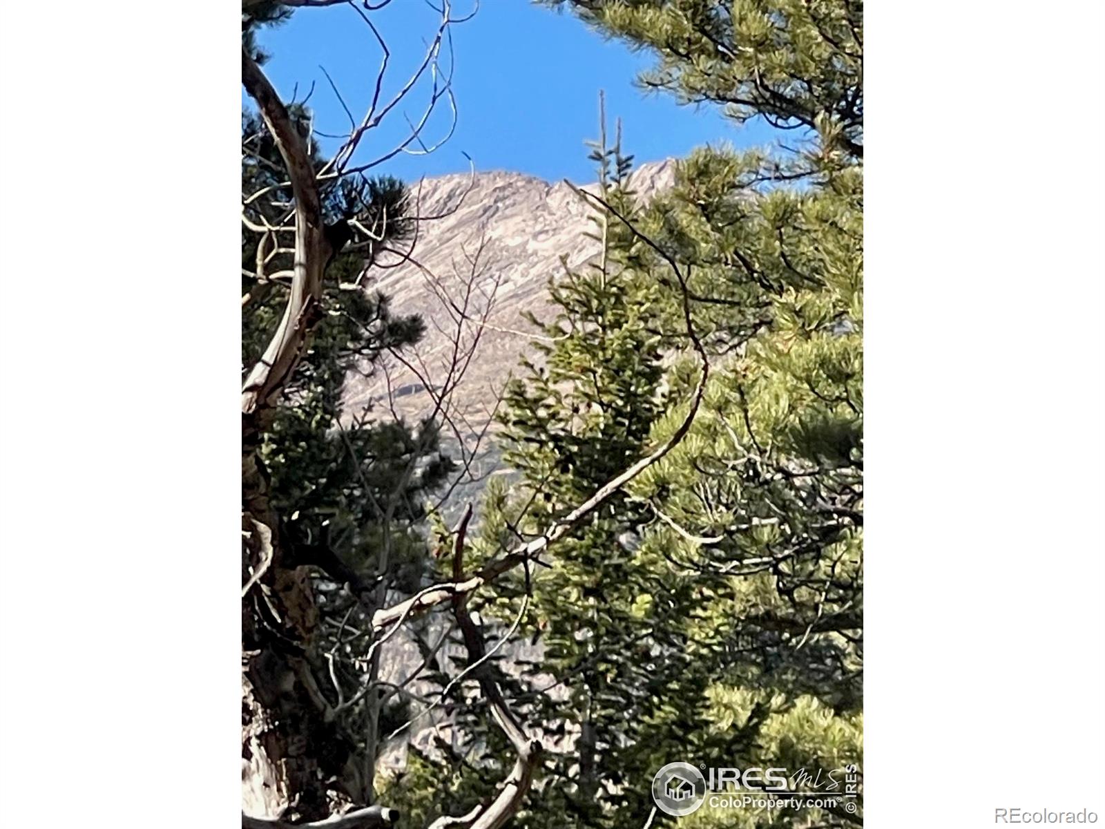 399 N Skinner Road Allenspark CO 80510