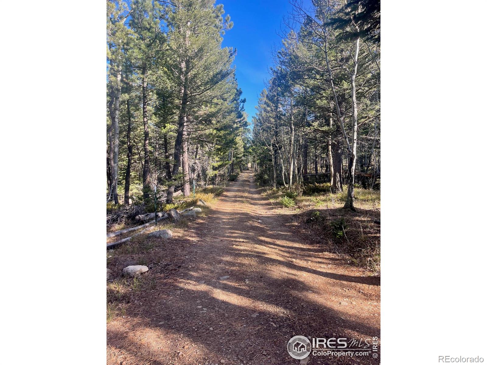 399 N Skinner Road Allenspark CO 80510